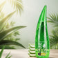Aloe Vera Gel