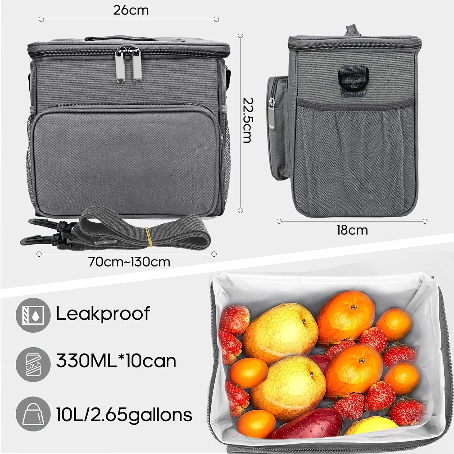 Large Insulated Lunch Bag